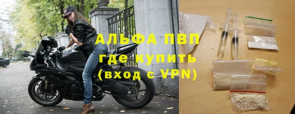 тгк Богданович